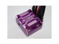 [60775]XARVIS XX PURPLE
